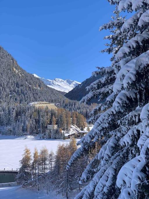 La Swiss Alps Appartement